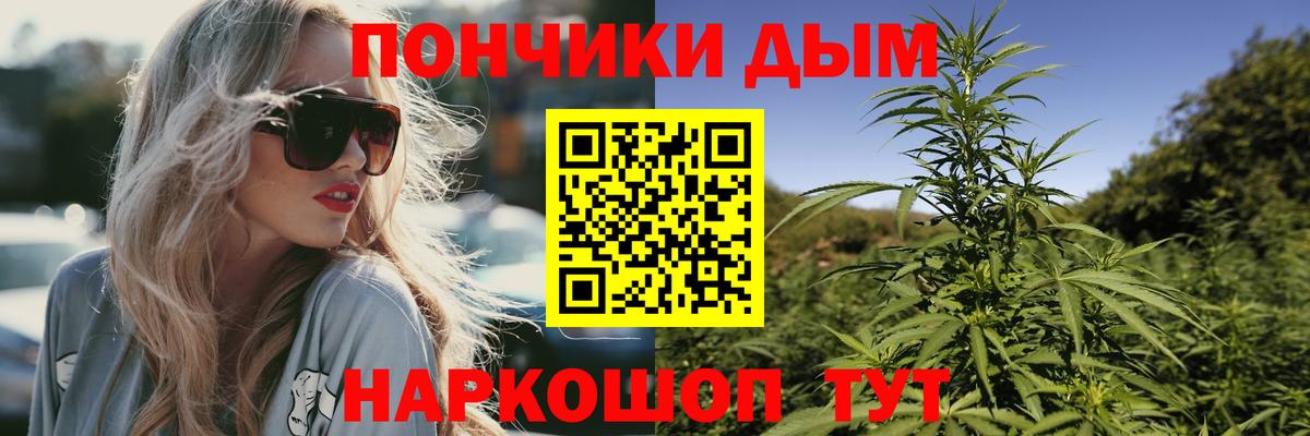 Каннабис конопля Великий Новгород